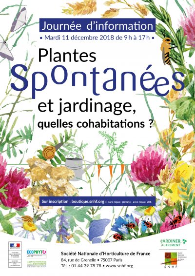 Plantes Spontanées